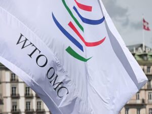India Opposes WTO Investment Deal
