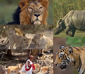 PM Reaffirms Wildlife Pledge: World Wildlife Day