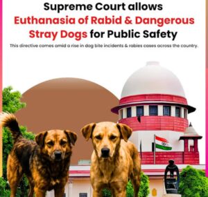 SC Allows Euthanasia of Dangerous Stray Dogs