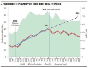 Policy Is Undoing Science in Cotton Mission