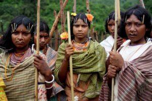 Delisting Debate Rekindles Tribal Identity Questions