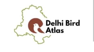 Delhi Bird Atlas 2025 Reveals Avian Diversity
