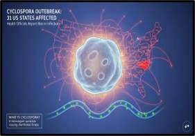 US Cyclosporiasis Outbreak: Foodborne Surge Explained