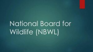 Delhi HC Questions NBWL Standing Committee