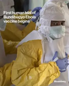 experimental drug trial, Bundibugyo Ebola virus, Ebola virus treatment, Ebola research, viral outbreak, clinical trial, experimental medicine, infectious disease, hemorrhagic fever, public health, virology, medical research, virus treatment, Ebola update, disease control