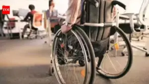 Census 2027 Disability Categories Raise Representation Concerns
