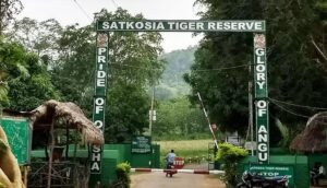 Satkosia village relocation probe