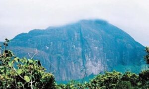 Agasthyamalai Forest Rights Under Threat