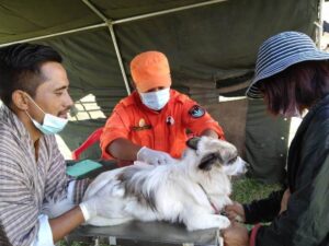 Bhutan Declared Free of Dog-Transmitted Rabies