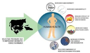 Antibiotic Resistance: India’s Growing Health Burden