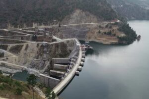 Learn about Subansiri Upper Project, its hydropower potential, forest diversion, biodiversity risks and environmental concerns.