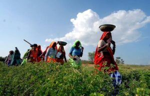 Right to Work India: The Broken Promise