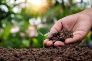 Soil Health Reforms for Sustainable Agriculture
