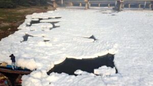 YAMUNA'S TOXIC FROTH RETURNS AMID WINTER POLLUTION